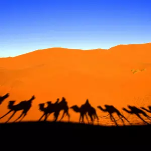 LECH LECHA::CARAVAN IN THE DESERT © Simone Matteo Giuseppe Manzoni | Dreamstime.com LECH LECHA::CARAVAN IN THE DESERT © Simone Matteo Giuseppe Manzoni | Dreamstime.com
