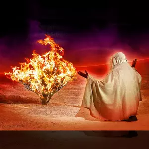 THE BURNING BUSH © Ted Larson | DigitalArtByTedLarson.net