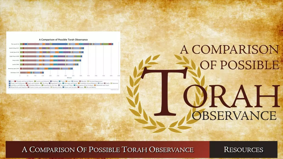 A COMPARISON OF POSSIBLE TORAH OBSERVANCE - Brady Stephenson (2023) | OneMessianicGentile.com
