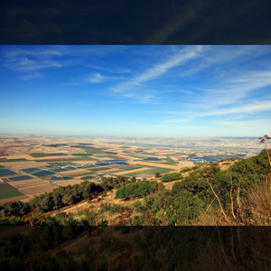 BLOOMING ISREEL VALLEY © Kushnirov Avraham | Dreamstime.com