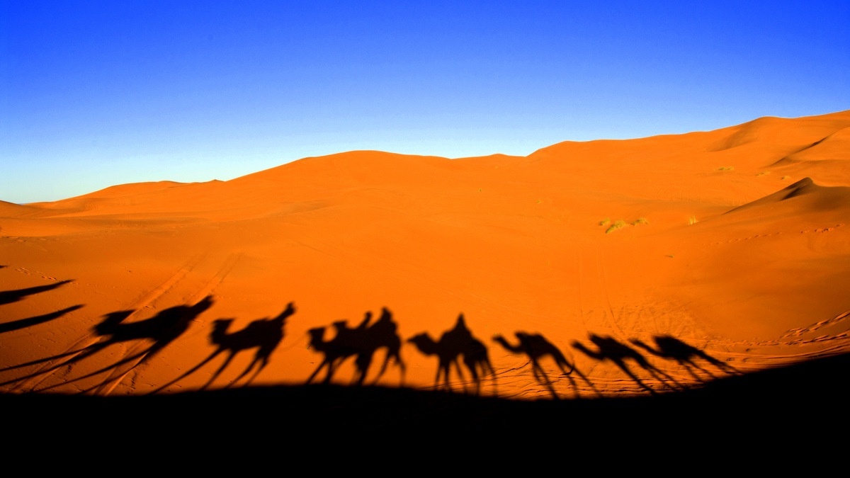LECH LECHA::CARAVAN IN THE DESERT © Simone Matteo Giuseppe Manzoni | Dreamstime.com