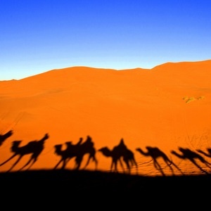 LECH LECHA::CARAVAN IN THE DESERT © Simone Matteo Giuseppe Manzoni | Dreamstime.com