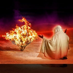 THE BURNING BUSH © Ted Larson | DigitalArtByTedLarson.net