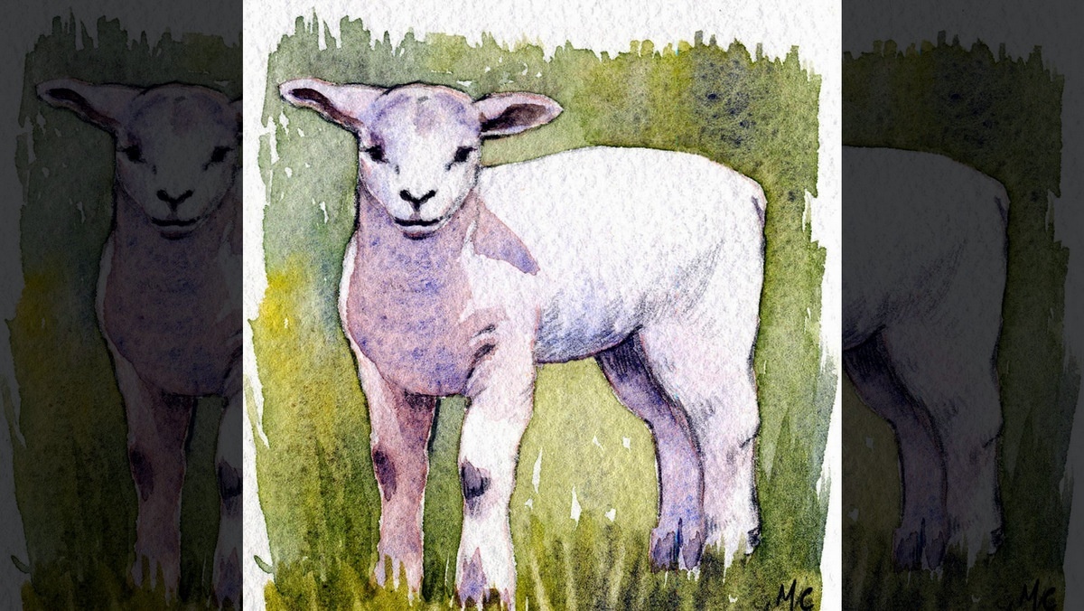 MESSIAH'S PASSOVER WEEK::LAMB © Maureen Carter | Google Images