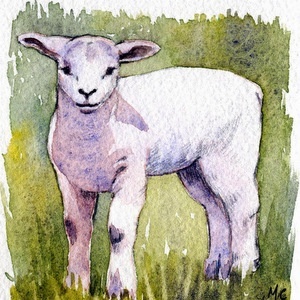 MESSIAH'S PASSOVER WEEK::LAMB © Maureen Carter | Google Images
